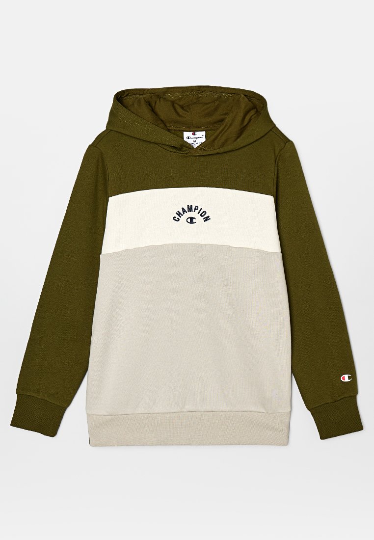 Champion Hoodie meerkleurig