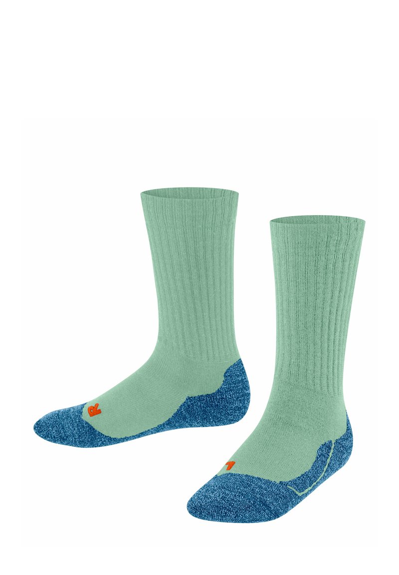 FALKE ACTIVE WARM  - Calze sportive - jade