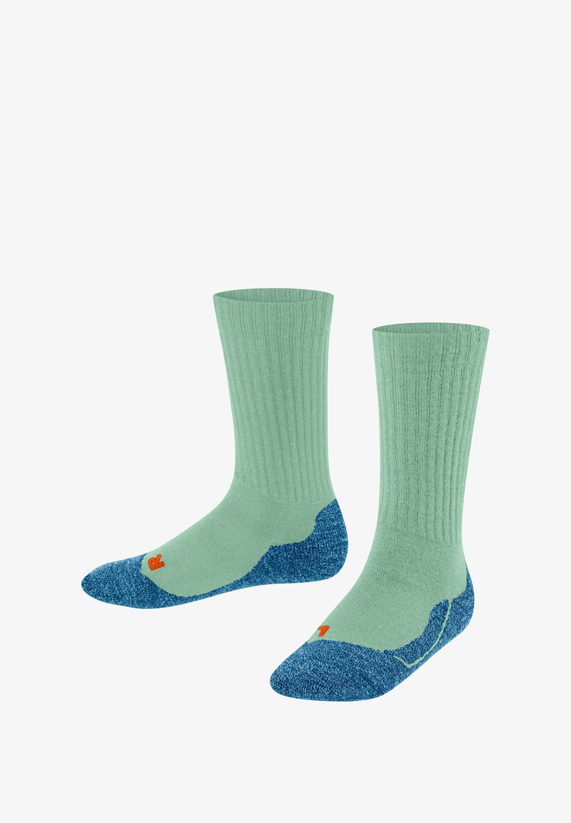 FALKE ACTIVE WARM - Calze sportive - jade