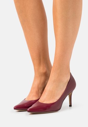 Escarpins en cuir bordeaux à talons hauts avec un bout pointu et un design élégant, dotés d'un talon aiguille fin et d'une texture lisse.