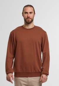 Brown sweatshirt in soft fabric, featuring long sleeves and a crew neck. Notable ribbed cuffs and hem. Small logo detail on the side.