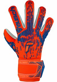 Reusch ATTRAKT FREEGEL - Torwarthandschuh - 2210 hyper orng elec blue