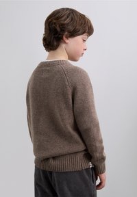 Brown wool sweater with a ribbed hem and collar. Smooth texture, featuring a round neckline and raglan sleeves.