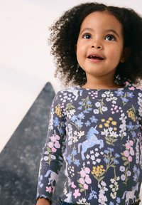 Pitkähihainen, harmaa ribbineulospaita, jossa on kukka- ja yksisarviskuvio vaaleanpunaisilla, sinisillä ja keltaisilla yksityiskohdilla. Reunat on viimeistelty sahalaitaisilla kalvosimilla.