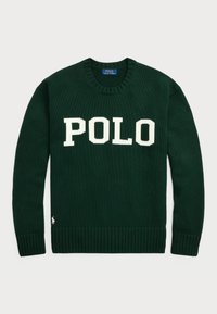 BIG FIT LOGO JUMPER - Jumper - college green combo