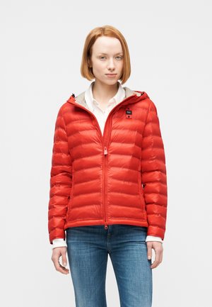 ELLIS - Sulejope - lava/green