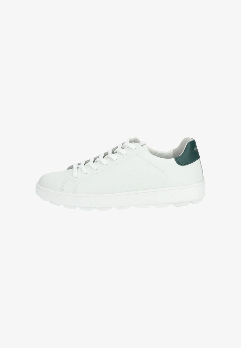 Baskets basses blanches en cuir avec des lacets blancs et un passant de talon vert foncé, affichées sur un fond blanc.