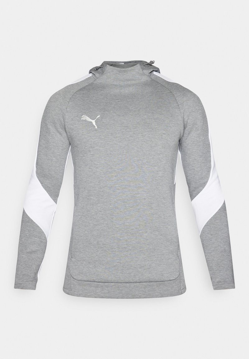 Puma Hoodie grijs Puma Hoodie grijs