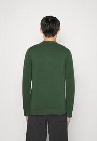 Grön tröja med långa ärmar, rund hals, ribbade manschetter och nederkant, i en slät stickad textur. Bakifrån visar den minimal detaljering.