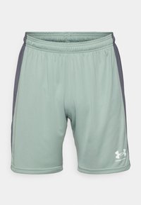 Unselected, silica green/castlerock