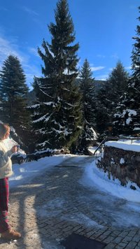 Winters landschap met een met sneeuw bedekt stenen pad, omringd door hoge altijdgroene bomen. Blauwe heldere lucht erboven, persoon die een kop vasthoudt.