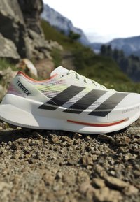Weißer und hellfarbiger Adidas Terrex Trailschuh mit schwarzen Streifen auf felsigem Bergpfad mit verschwommenem grünem Landschaftshintergrund.