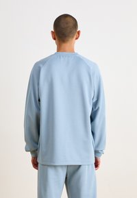Light blue crewneck sweatshirt with long raglan sleeves, smooth texture, and ribbed cuffs. Soft material, back view showcases relaxed fit.