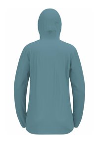 Helles blaues, wasserdichtes Jacket mit Kapuze, langen Ärmeln und glatter Textur. Verfügt über ein einfaches Design und einen leicht längeren Rücken.