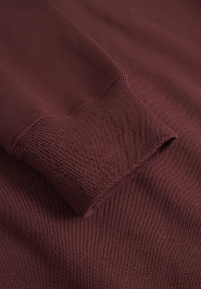 WOOD WOOD WWJAMES AAARC - Sweat à capuche - decadent chocolate