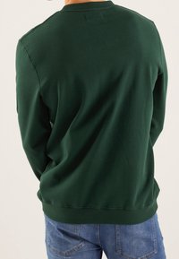 Felpa verde in cotone con girocollo standard, maniche lunghe e polsini a costine, abbinata a jeans blu. Texture liscia.
