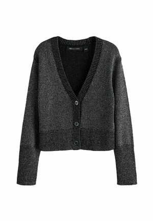 REGULAR FIT  LYRA GLITTER  - Kardigán - silver