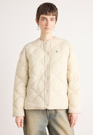 INSULATED LINER JACKET - Winter jacket - fog