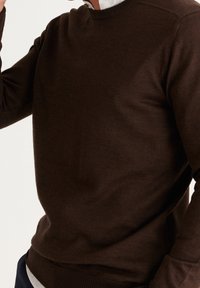 AC&CO / ALTINYILDIZ CLASSICS Strickpullover - brown