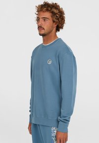 Blå sweatshirt lavet af glat stof, med rund halsudskæring, lange ærmer og et cirkulært logo på brystet.