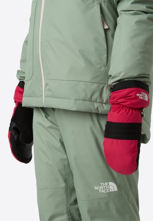 The North Face MONTANA UNISEX - Mittens - lali guran