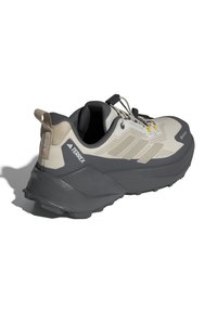Adidas Terrex TRAILMAKER 2 GORE-TEX NATGEO - Joggesko - orbit grey beige grey five