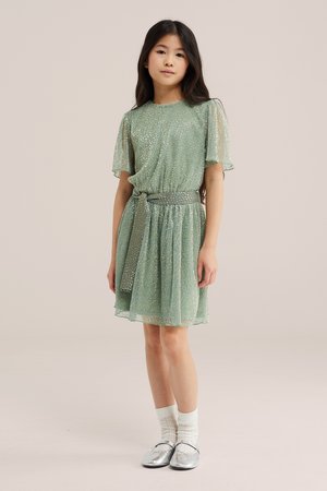 WE Fashion Robe de jour - light green