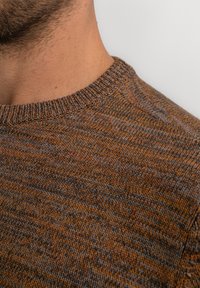 Petrol Industries TELLER - Trui - dark caramel