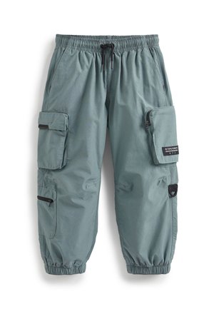 STANDARD - Pantalones cargo - petrol blue