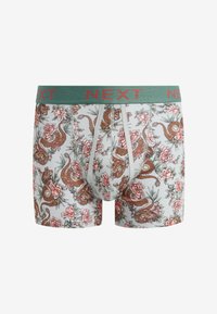 Men's boxer briefs in light gray with a floral and dragon print. Features a green waistband with "NEXT" in red lettering. Soft fabric.