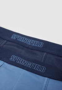 Boxer briefs azzurri chiari con elastico navy che presenta la scritta "SPRINGFIELD" in azzurro chiaro. Texture liscia, design semplice, senza modelli.
