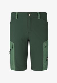 Ikke valgt, 3065 scarab