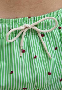 Bañador a rayas verdes con pequeños patrones de rodajas de sandía. Cuenta con un cordón ajustable de color crema con extremos de plástico.
