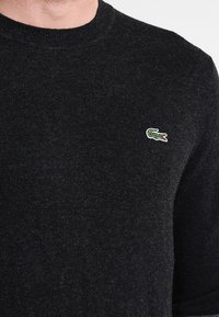 Svart stickad tröja med rund hals och fin struktur. Har en liten grön och vit krokodil-logotyp på vänster bröst.