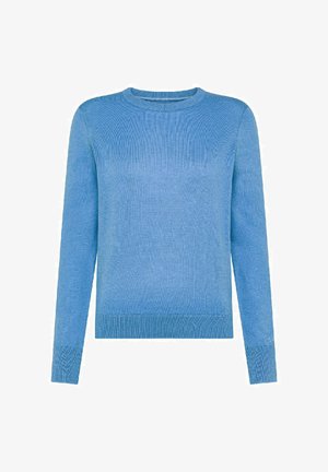 Maglione a maglia azzurro chiaro con maniche lunghe e scollatura rotonda. Presenta una trama a coste e polsini. Design semplice senza ulteriori decorazioni.