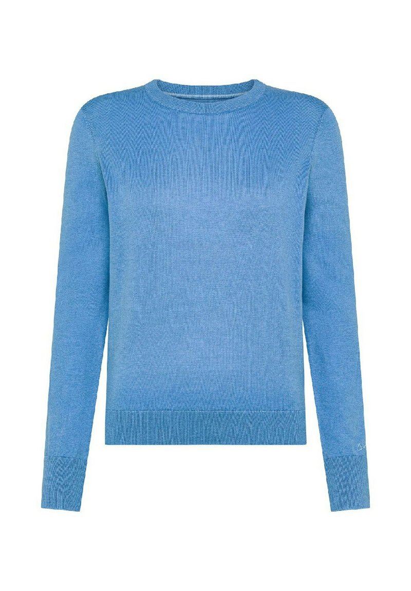 Maglione a maglia azzurro chiaro con maniche lunghe e scollatura rotonda. Presenta una trama a coste e polsini. Design semplice senza ulteriori decorazioni.