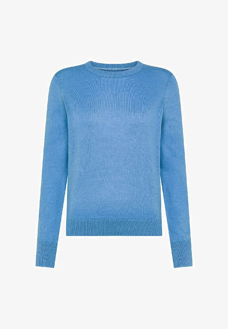 Maglione a maglia azzurro chiaro con maniche lunghe e scollatura rotonda. Presenta una trama a coste e polsini. Design semplice senza ulteriori decorazioni.
