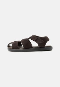 Επιλέχθηκε, brown