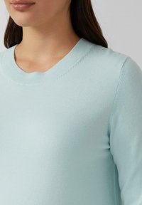 Vrouw in een lichtblauwe ronde halstrui, gezien van de schouders tot halverwege de borst, met steil donkerbruin haar zichtbaar.