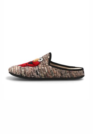 Pantuflas - multi coloured