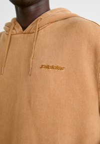 Hooded sweatshirt in tan with a soft texture. Features a small, embroidered logo on the chest and tonal drawstrings at the hood.