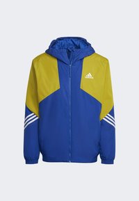 adidas Performance BTS HD JKT - Χειμωνιάτικο μπουφάν - blue