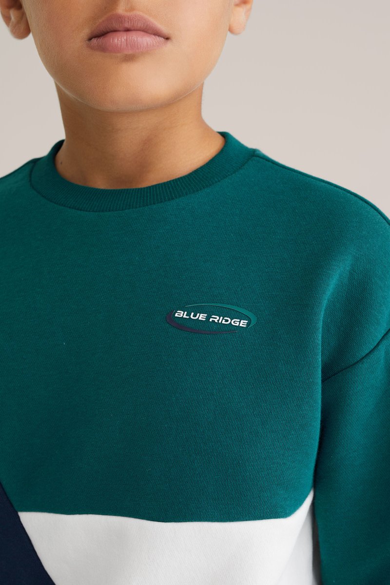 Tyrkysová mikina s kontrastními bílými a námořnickými sekcemi. Má kulatý výstřih a nášivku s logem "BLUE RIDGE" na hrudi. Materiál je smíšený bavlněný.