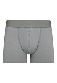 Grå boxer shorts med en glat tekstur og elastisk talje med prægede logoer. Konstrueret med et tætsiddende design.