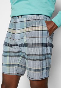 Tommy Hilfiger HARLEM MADRAS - Calções - lofty blue