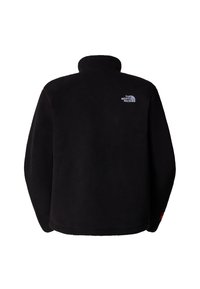 The North Face TNF FLEESKI - Forro polar - tnf black