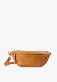 Unselected, golden dandelion