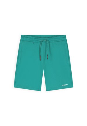 Turquoise shorts met elastische taille, trekkoord, zijzakken en een klein wit "BALLIN'"-logo op de zoom van het linkerbeen.
