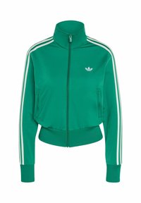 FIREBIRD CLASSIC - Veste de survêtement - bold green/white