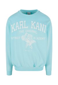 Felpa azzurra chiara in cotone, con testo bianco "KARL KANI" e una grafica di un'aquila, dotata di polsini e orlo a coste. Vestibilità casual.